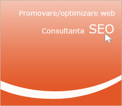 consultanta seo