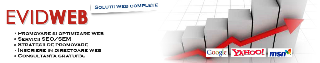 Design web, servicii SEO si gazduire web
