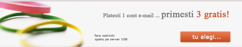 Gazduire web. Oferta pachet Standard